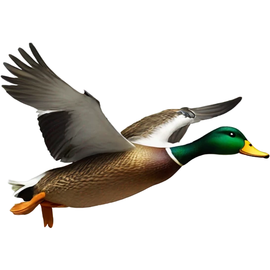 A duck whats flying emoji