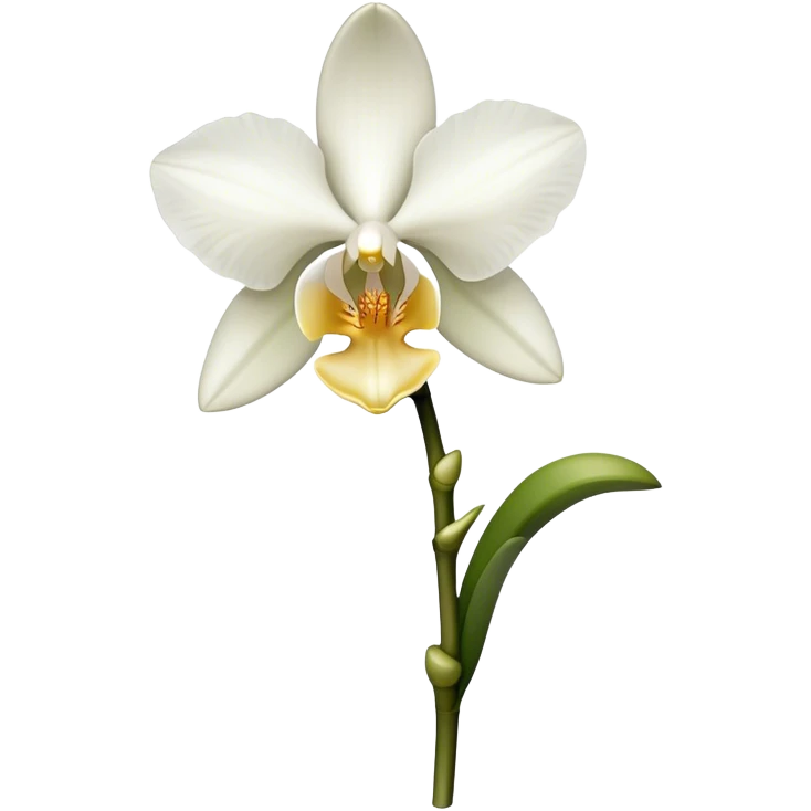 single white Dendrobium Orchid straight stem emoji