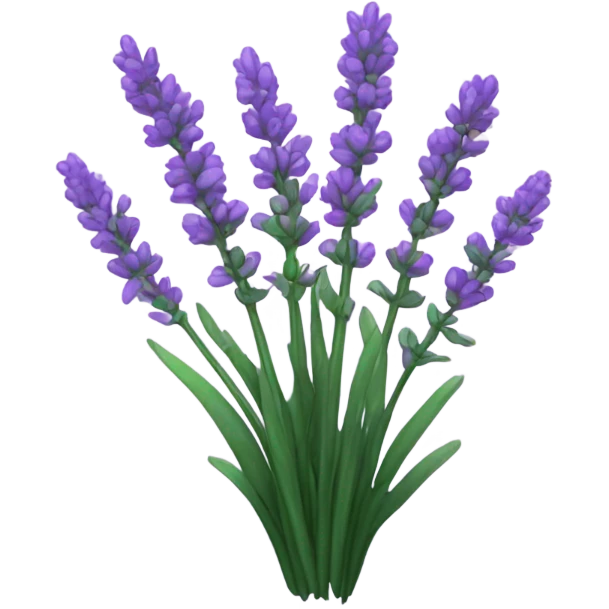 Lavender plant  emoji