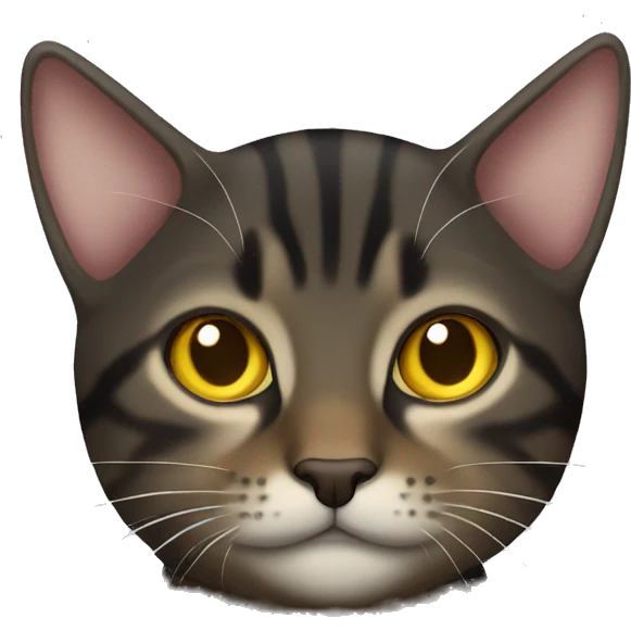 Black and brown tabby cat with yellow eyes emoji