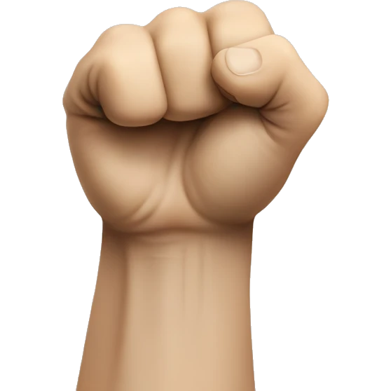 a human fist coming at your in a vertical alignm emoji
