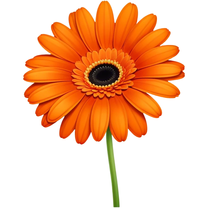 single Vibrant Orange Gerbera Daisy, straight stem emoji