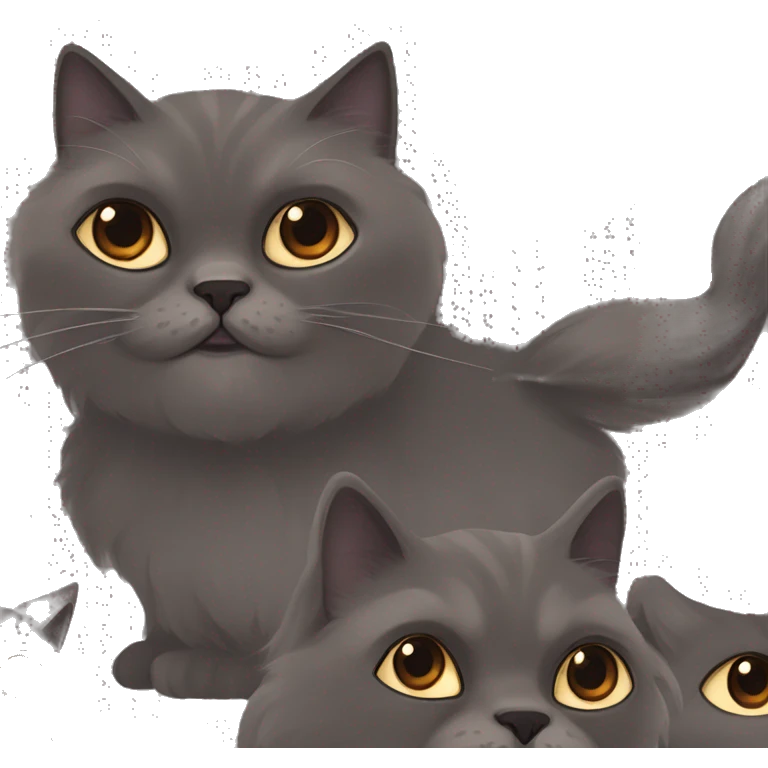 dark gray persian cat with brown eyes with girl with brown hair emoji