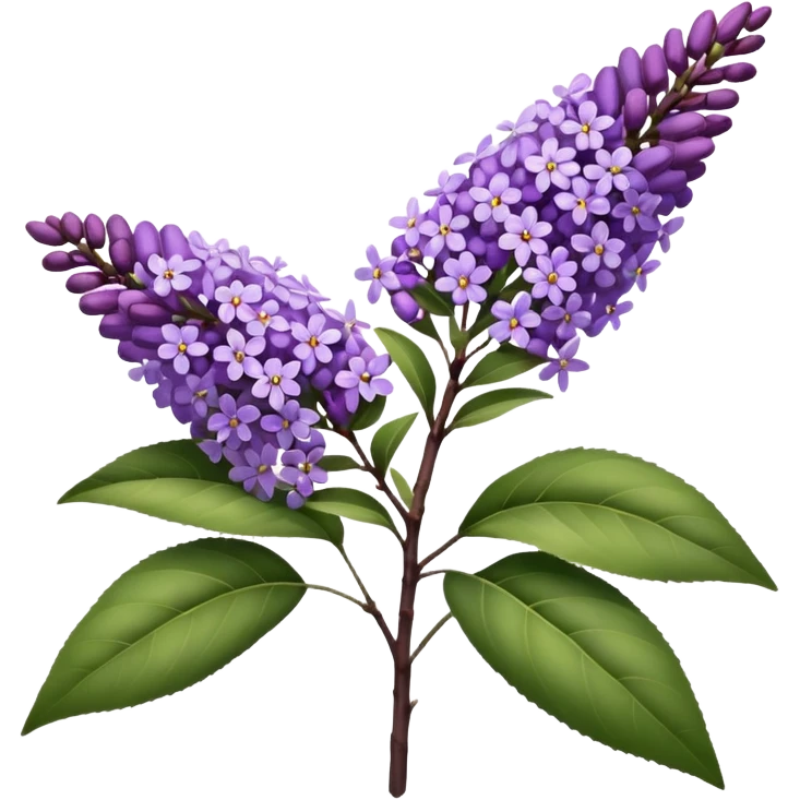 Summer Lilac: As one of the butterflies’ favorite flowers, summer lilac, also known as butterfly bush, is a fragrant and fast-growing plant emoji