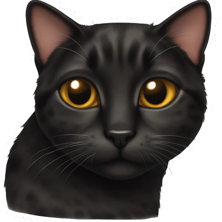 Tortie black cat emoji