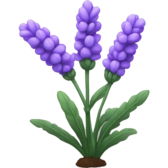 Lavender plant  emoji