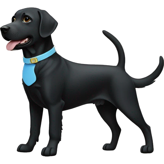 one labrador on the left black, smaller size. Another labrador on left black with a light blue collar. dog on right with red collar. emoji