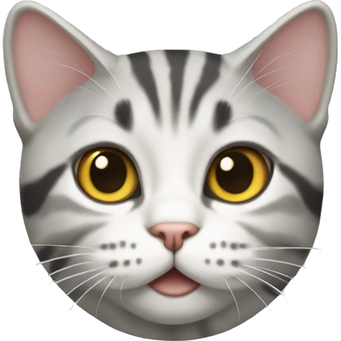 American shorthair cat  emoji