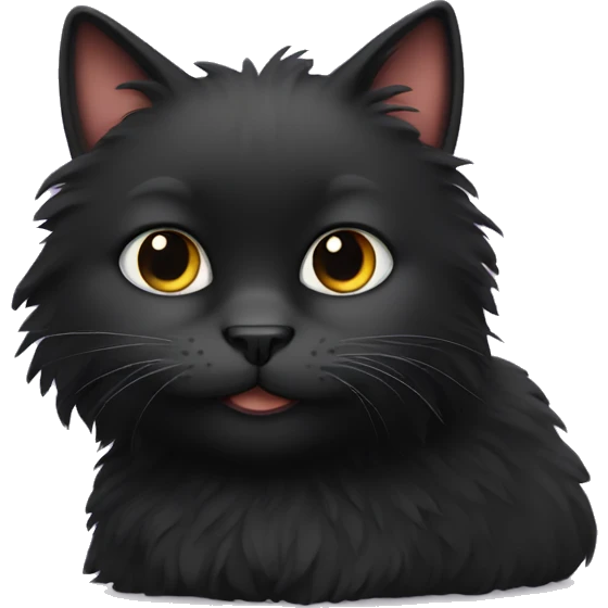 Black fluffy cat  emoji