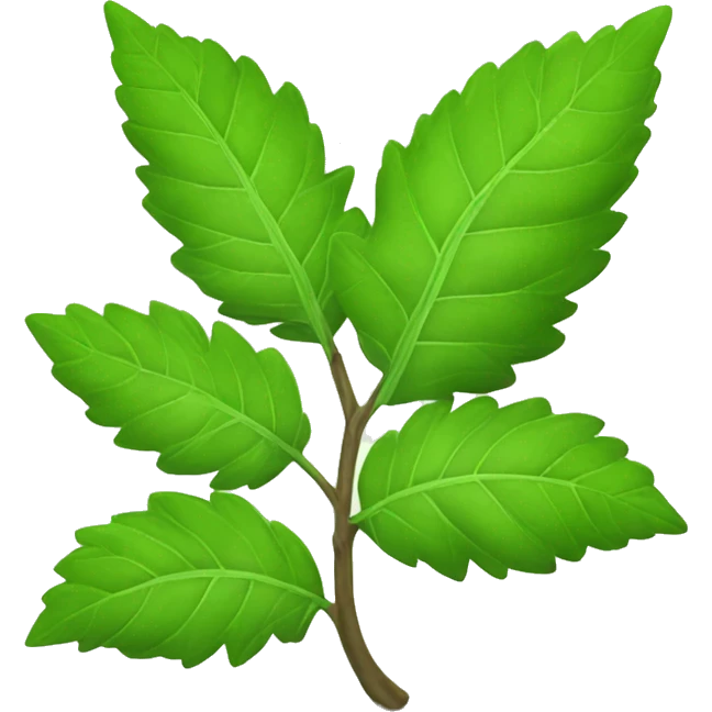 Indian tulsi plant emoji green emoji