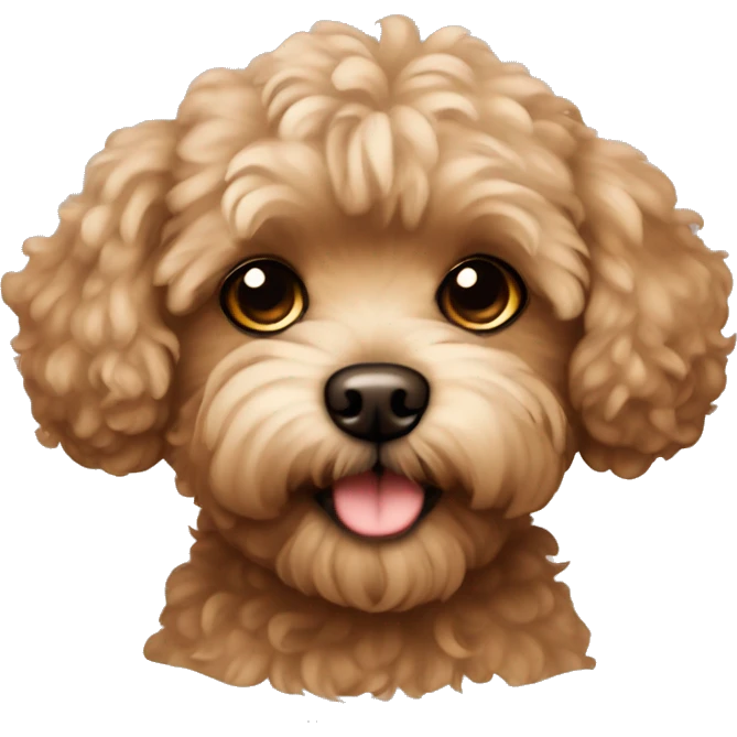 Brown maltipoo dog emoji