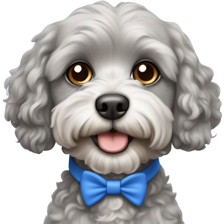 Grey Cavapoo with blue collar emoji
