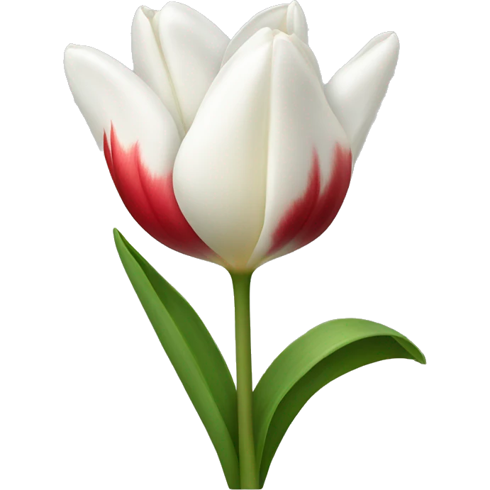 White tulipana emoji