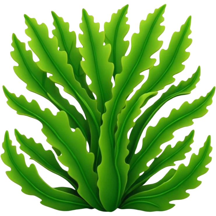 Seaweed 3d emoji