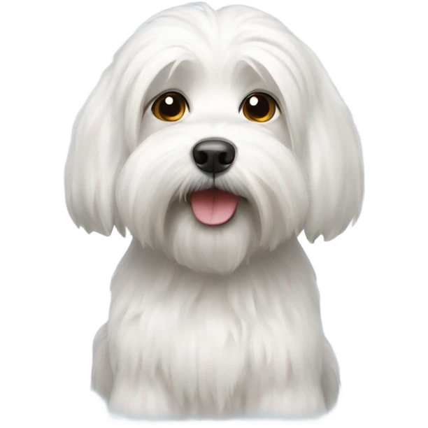 Lowchen white dog emoji