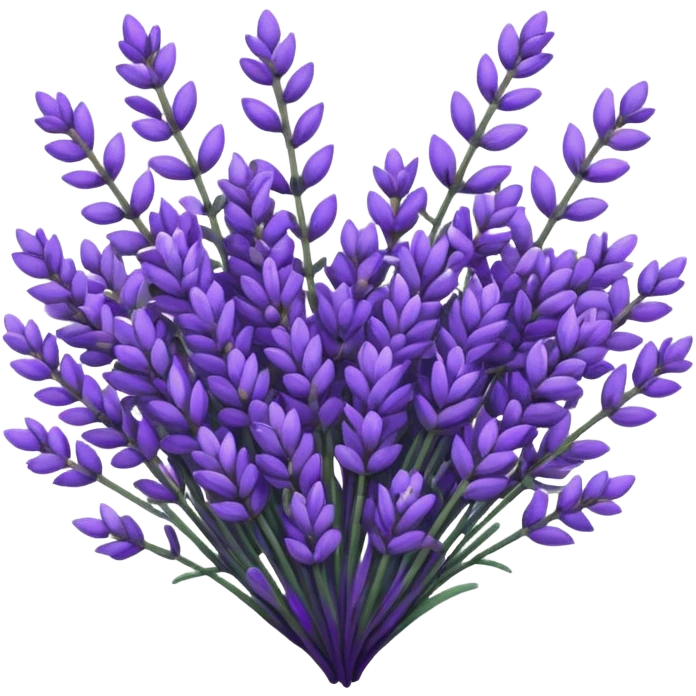 Heart of lavander emoji