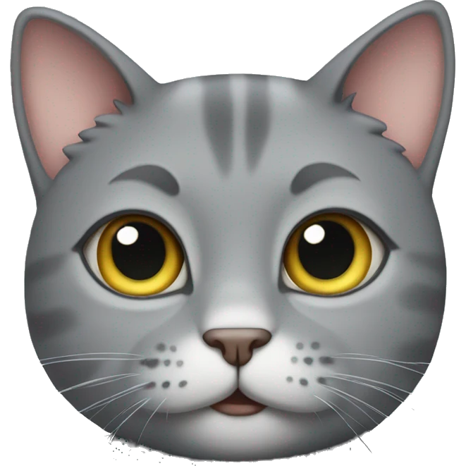 Cute grey cat, not fat emoji