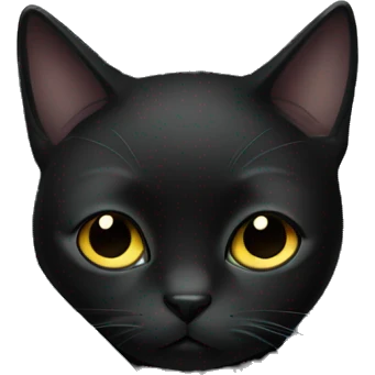 sad black cat in blanket emoji
