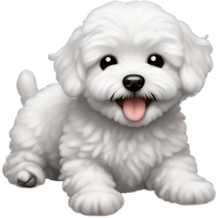 Baby maltipoo black  completely black (not white) laughing eyes closed eyes completely closed big smile  emoji
