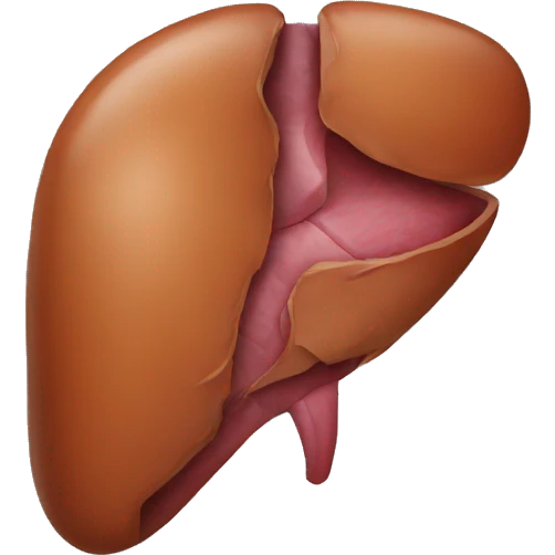 liver emoji