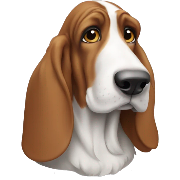 Basset hound  emoji