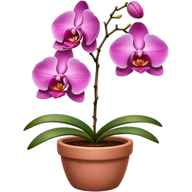 pink Orchid in a clay pot emoji