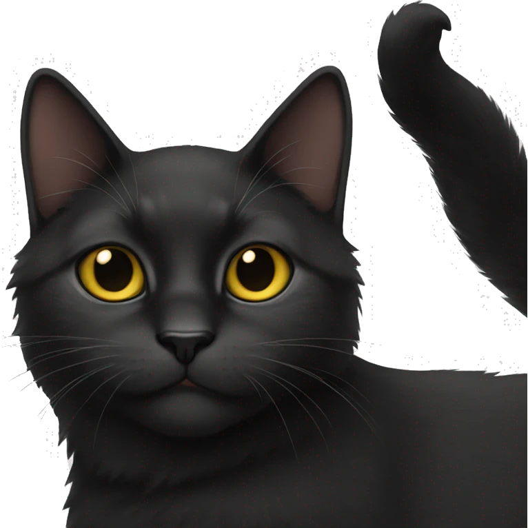 black cat emoji
