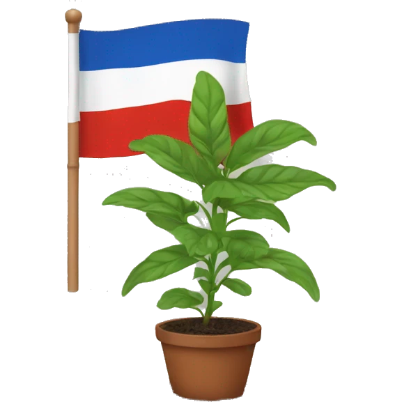 Noreigan flag with a small plant in front (no soil or pot). emoji