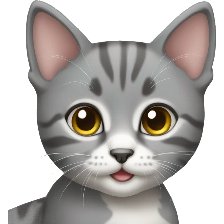 gray kitten emoji