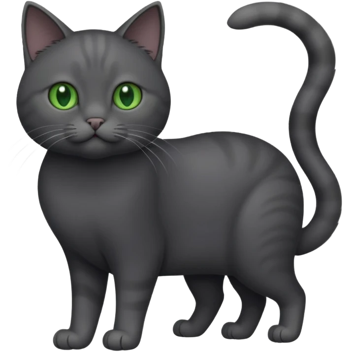 full body gorgeous solid dark grey cat with green eyes, white paws and white whiskers playing emoji