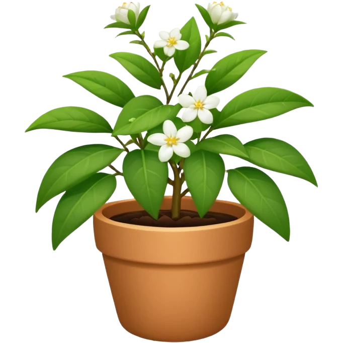 jasmine plant in pot emoji