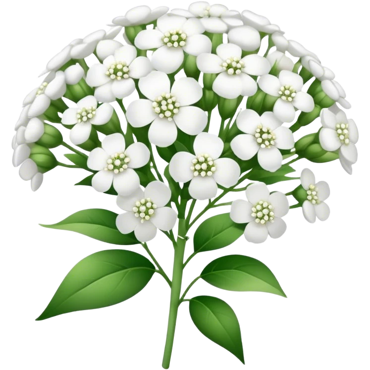 baby’s breath  emoji