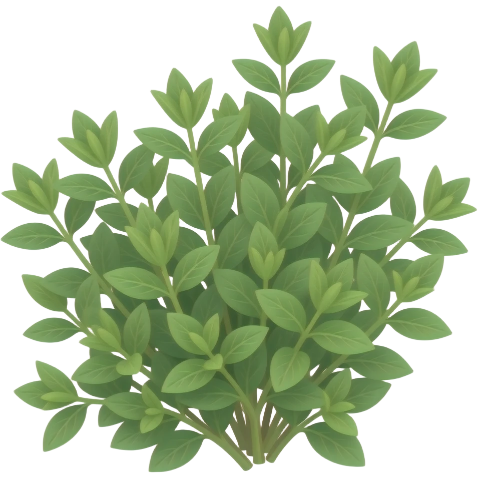 Thyme emoji