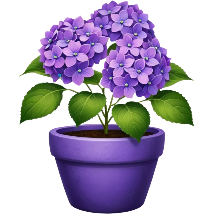 purple hydrangeas flower pot emoji