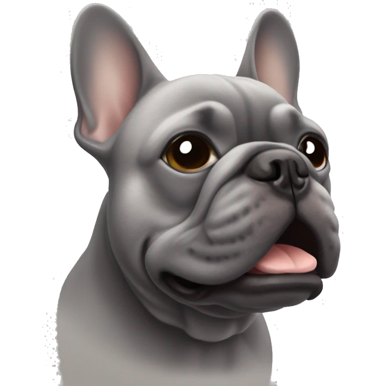 muzzle of a gray French bulldog emoji