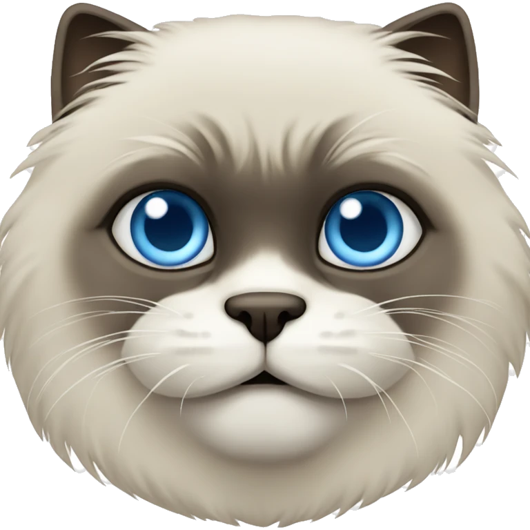 Himalayan cat with wide blue eyes emoji
