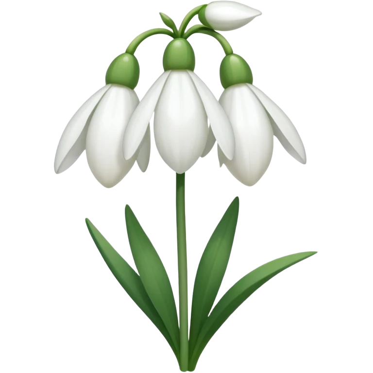 snowdrop flower emoji