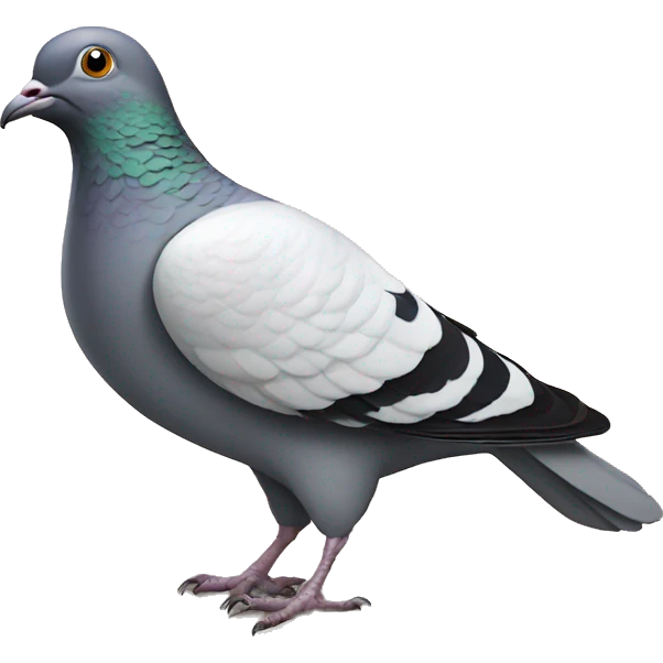 Pigeon letter  emoji