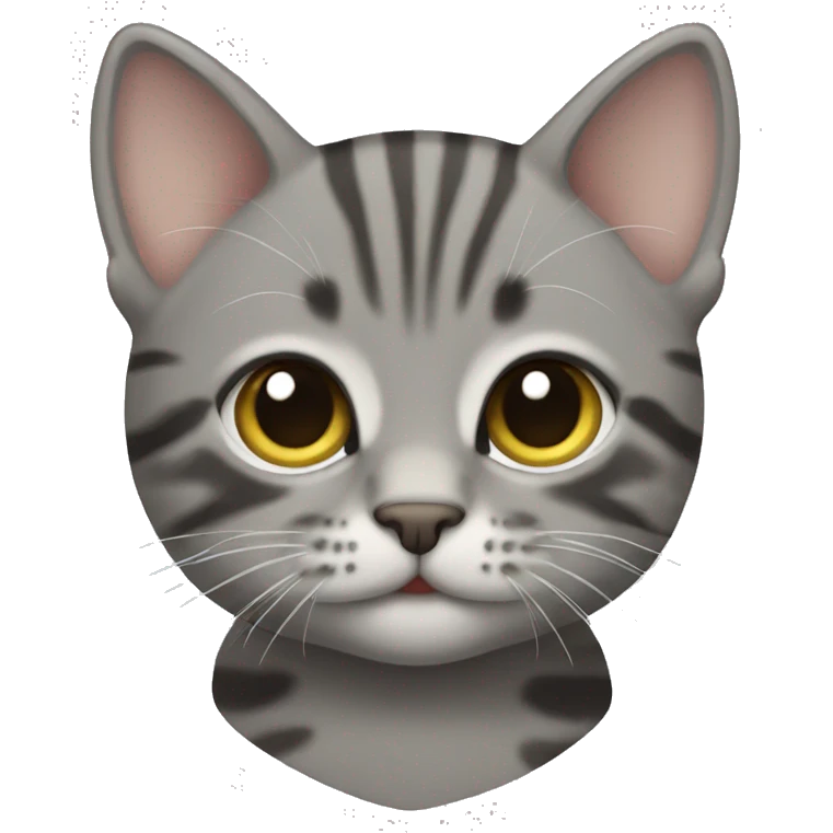 Gray tabby kitten emoji