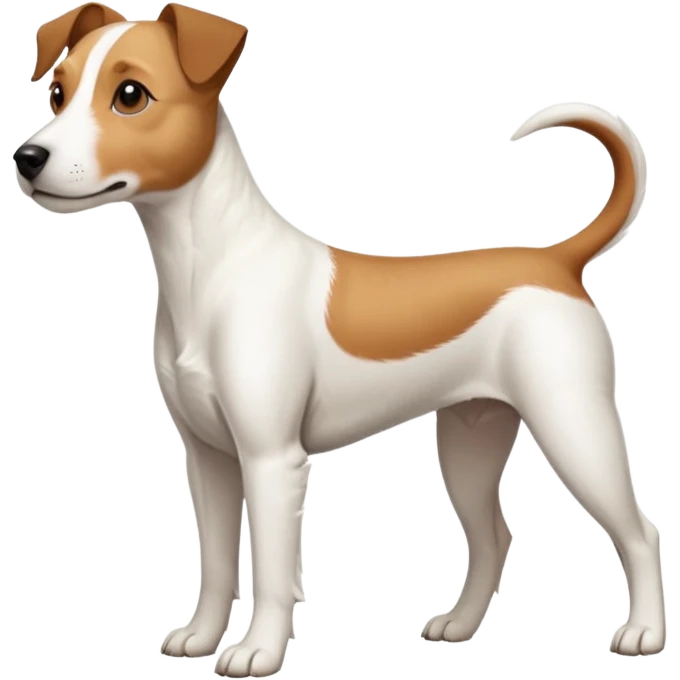 a full body large white parson russell terrier looking dog the size of a kelpie with light brown long ears and a light brown patch on one eye and a large snout emoji