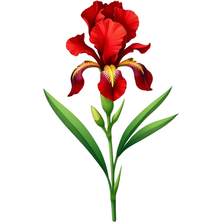 single Bright Red Iris, straight stem emoji