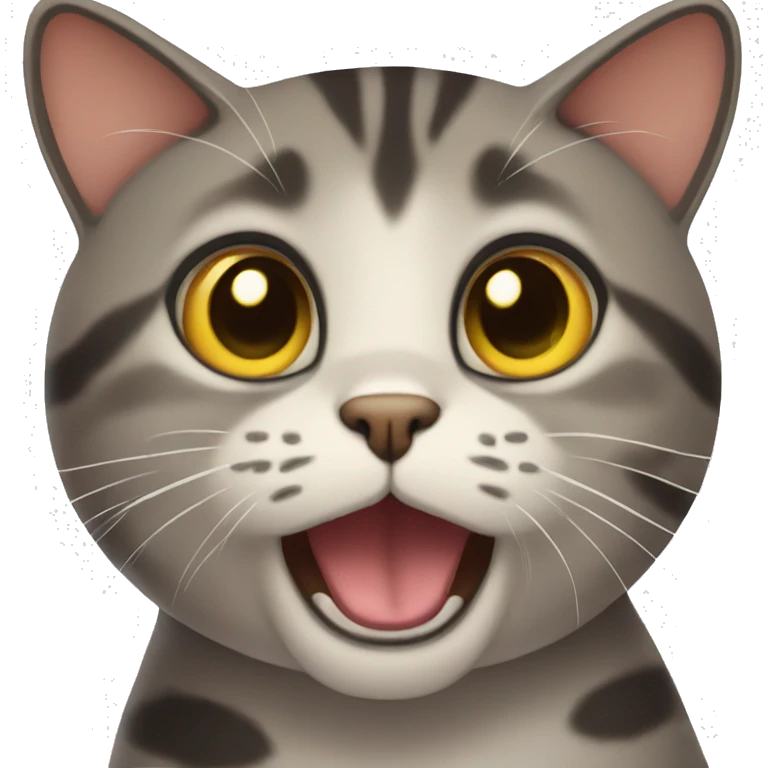 shocked cat emoji