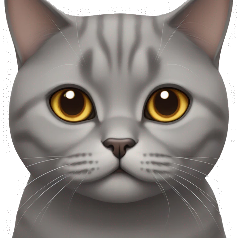 British shorthair cat with brown eyes  emoji