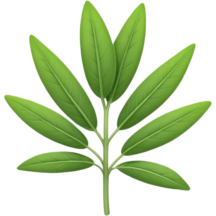 sage herb emoji