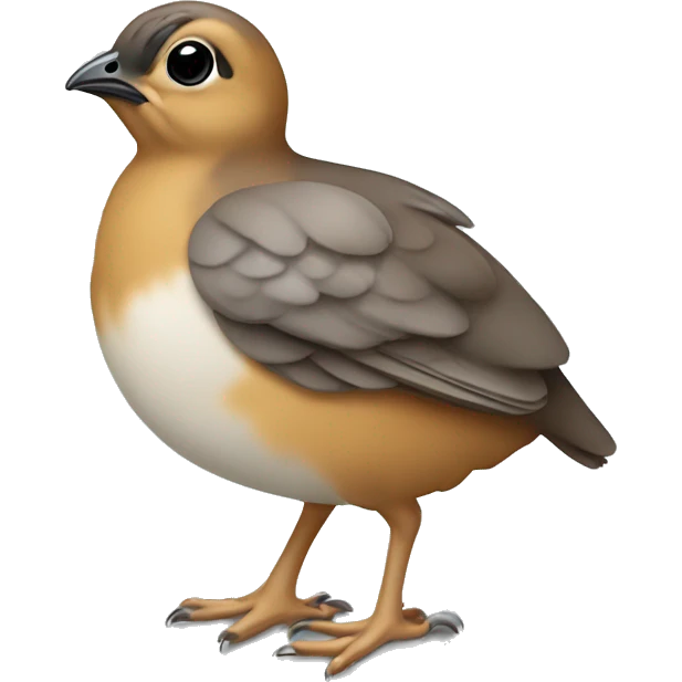 Smallest New bornDesign a quail-bird emoji resembling a quail.
The emoji should be small and round, with a plump body. quail chick emoji