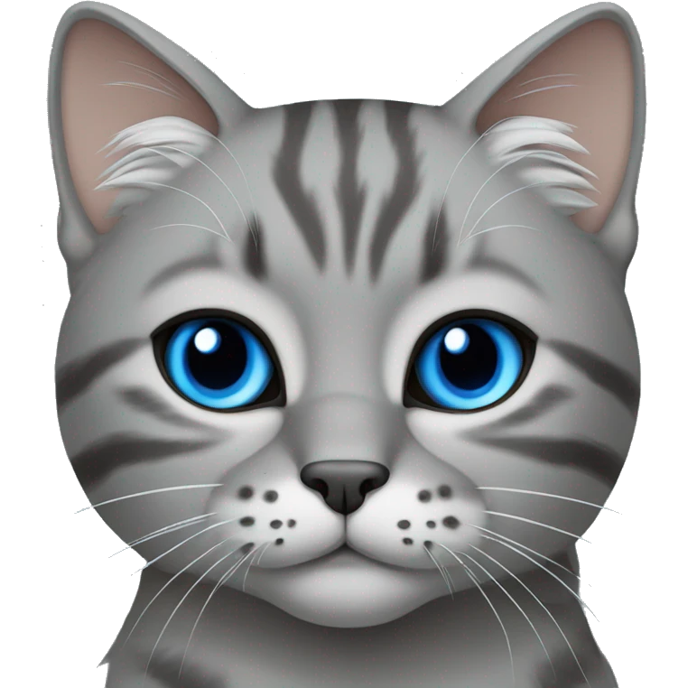 grey Highlander cat with blue eyes emoji