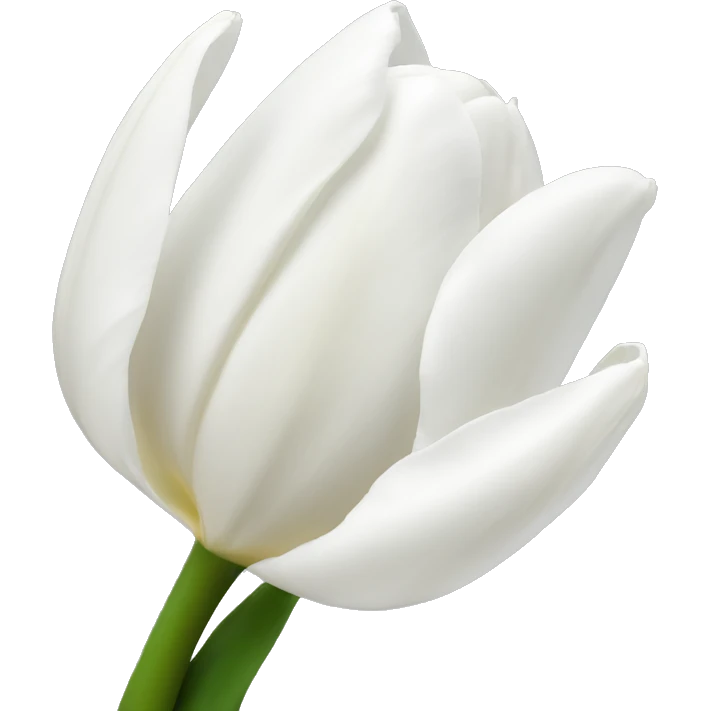 White tulips emoji