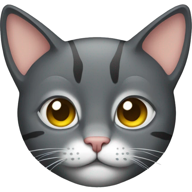 cat with armo emoji