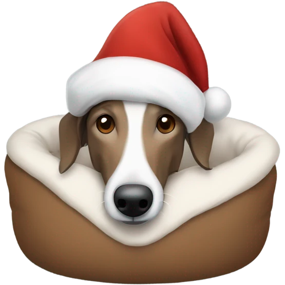 A brown and white lurcher wearing a Christmas hat all snuggled in his bed emoji