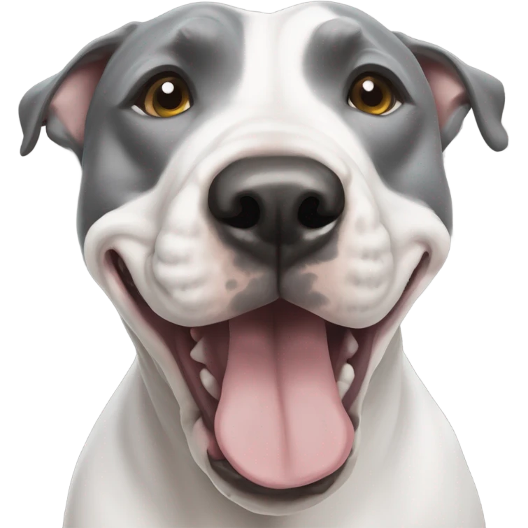 Grey Stafford shire bull terrier dog portrait with a spall white line between his eyes and a white chest emoji